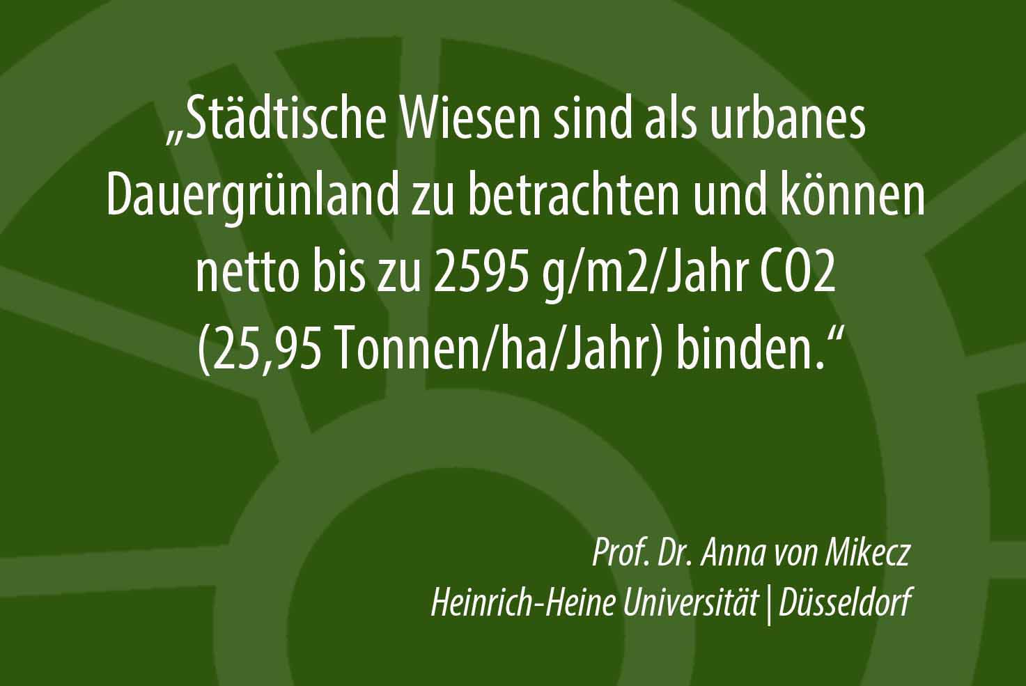 Urbanes Dauergrünland bindet CO2